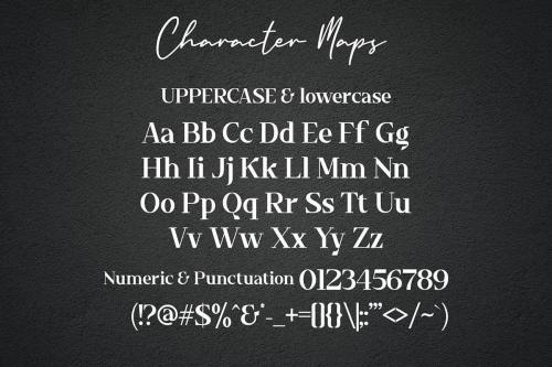 Timeline Serif Font 7