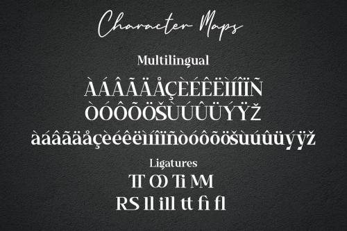 Timeline Serif Font 8