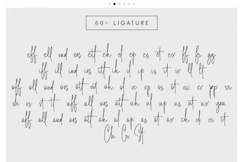 Tosca Beauty Script Font 1 (1)