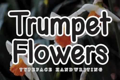 Trumpet Flowers Display Font