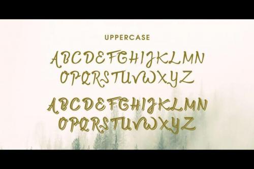 Twopath Script Font  12