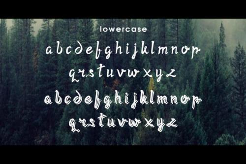 Twopath Script Font  13