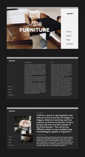 Typold Type Family  3