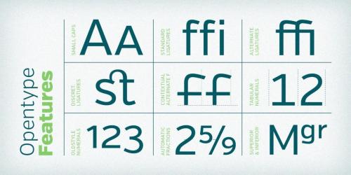 Verb Font 14