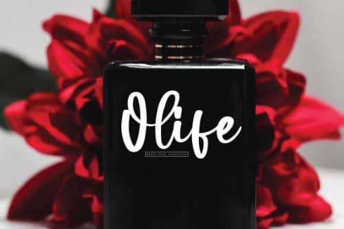 Victory House Script Font  2