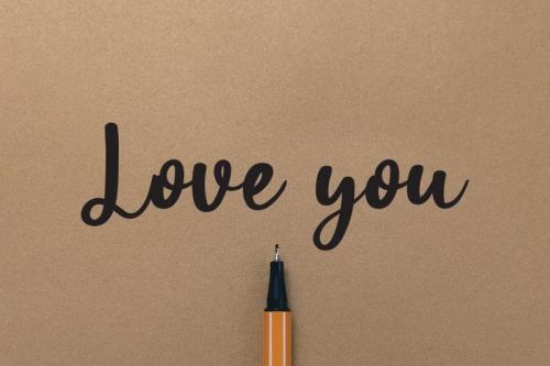 Victory House Script Font  3