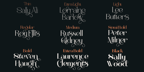 Wano Quin Serif Font  4