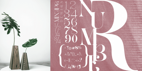 Wano Quin Serif Font  9