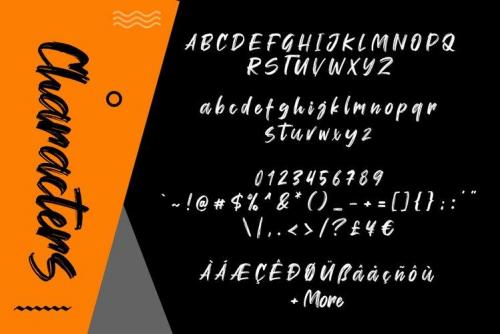 Wellfont Brush Font  6