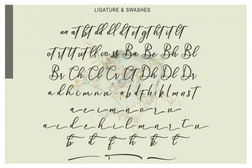Wellington Calligraphy Font 9