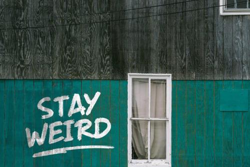 Wildwood Dry Brush Font  5