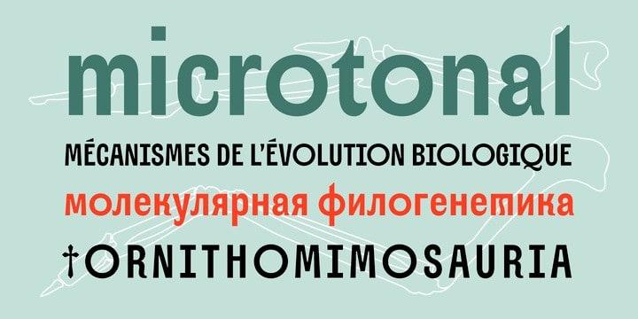 Alter Aves Sans Serif Font   1