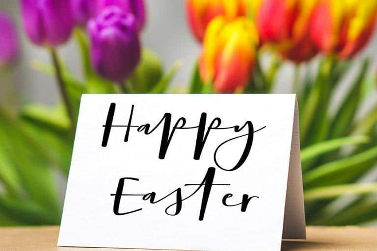 Bellissima Script Font  1