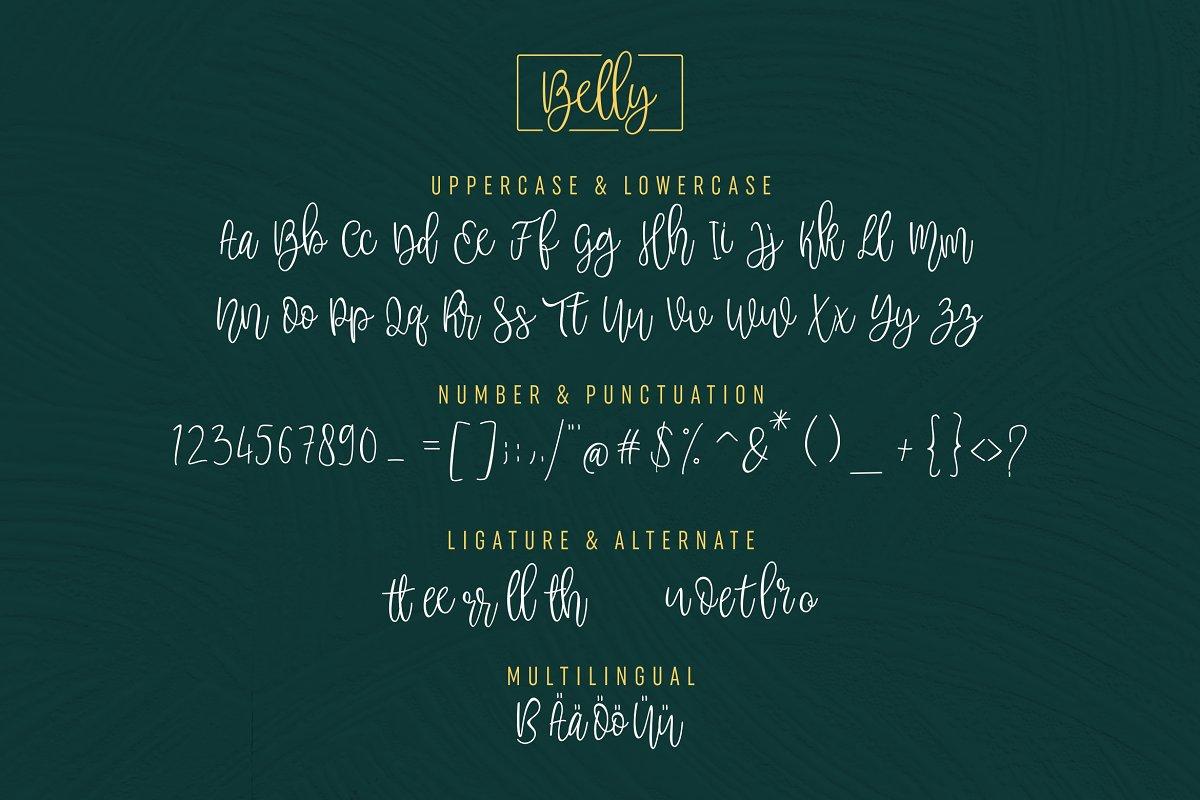 Belly Beauty Handwritten Font 4