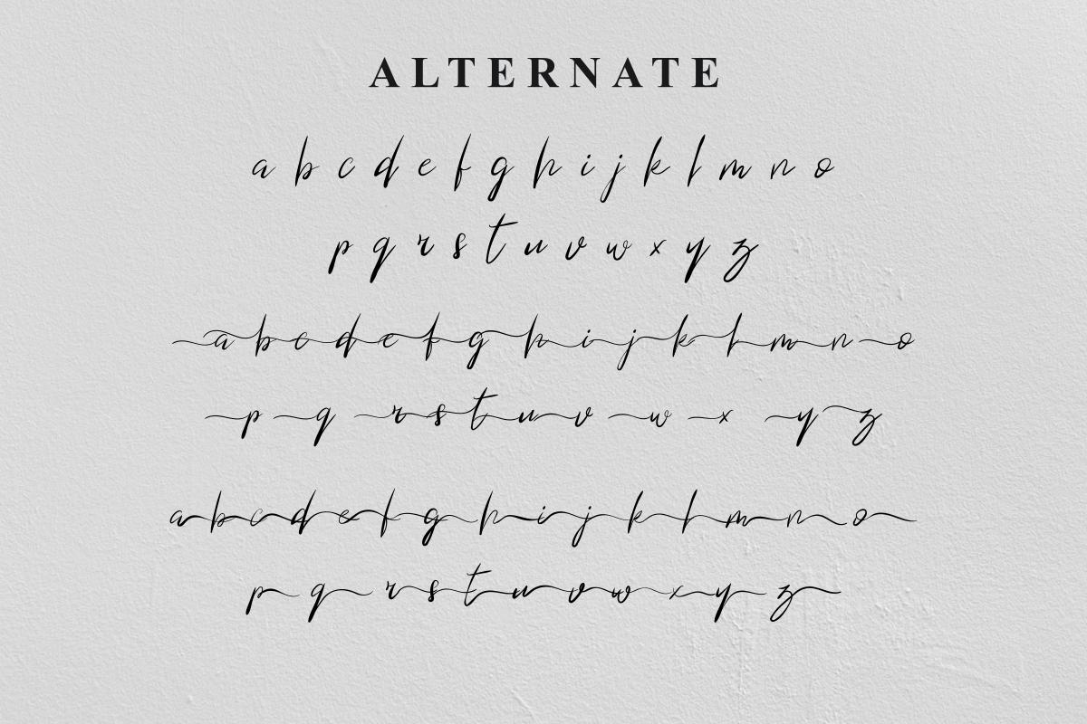 Blind Heart Script Font 4