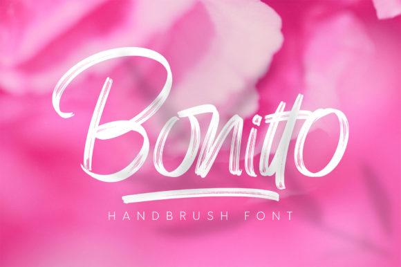 Bonitto Brush Script Font 13
