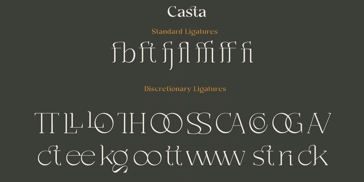 Casta Serif Font 11