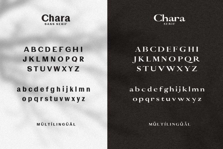 Chara Sans Serif  Serif Font Duo 2