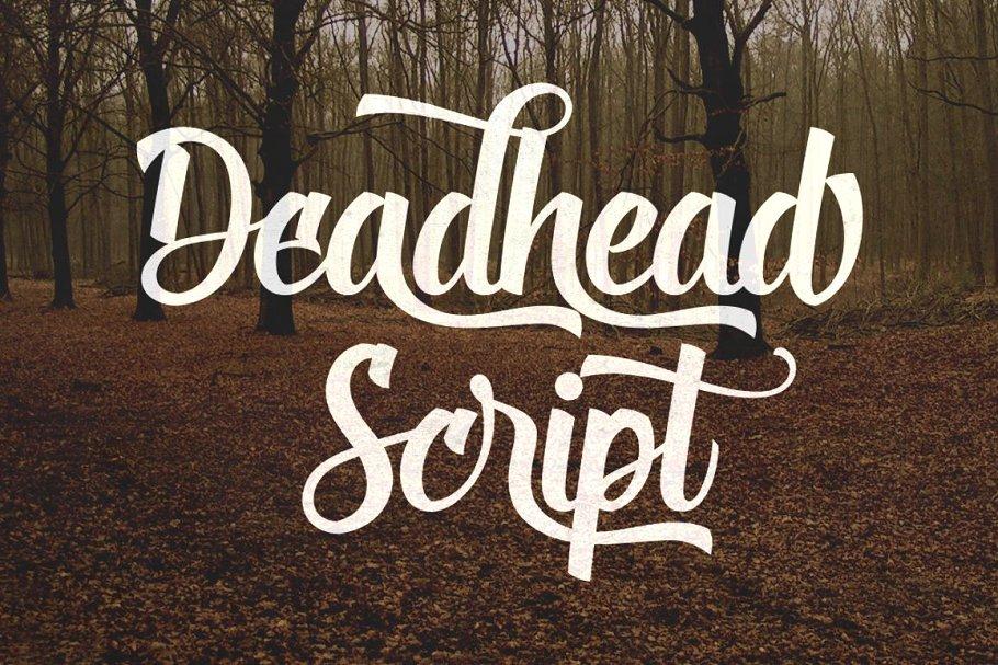 Deadhead Script Font