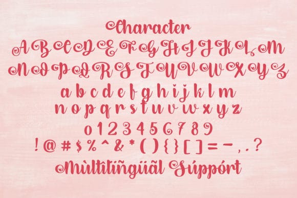 Dirly Belly Bold Calligraphy Script Font 13