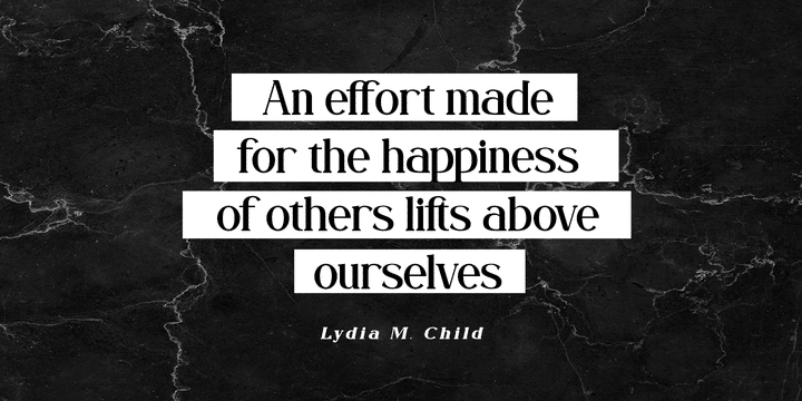 Fogie Modern Serif Font 8