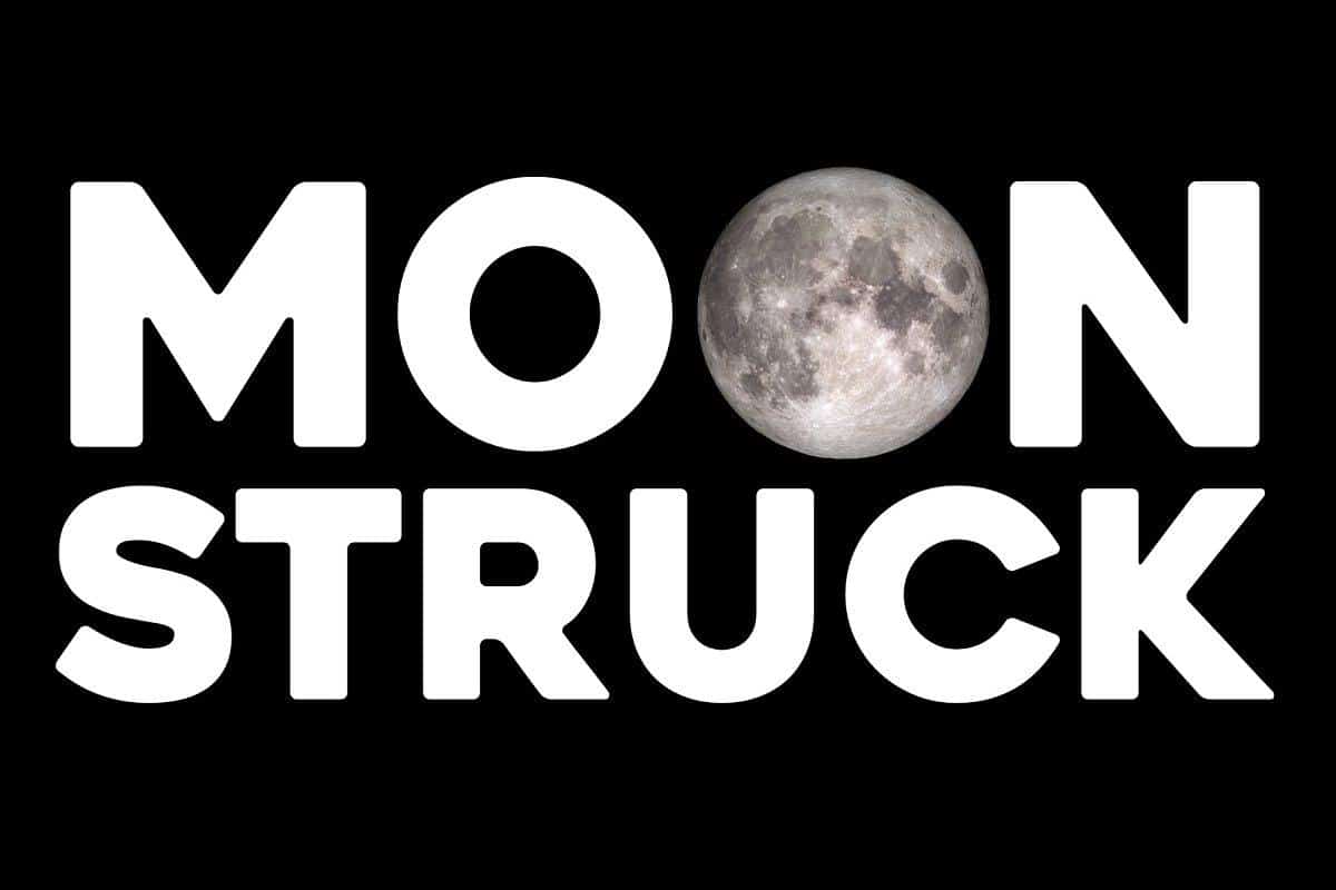 Heavitas Sans Serif Font 4