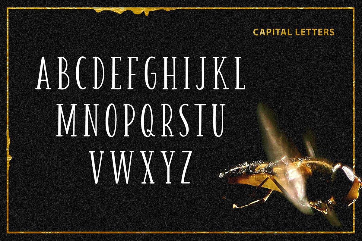 Honey  Jam Font Family  2