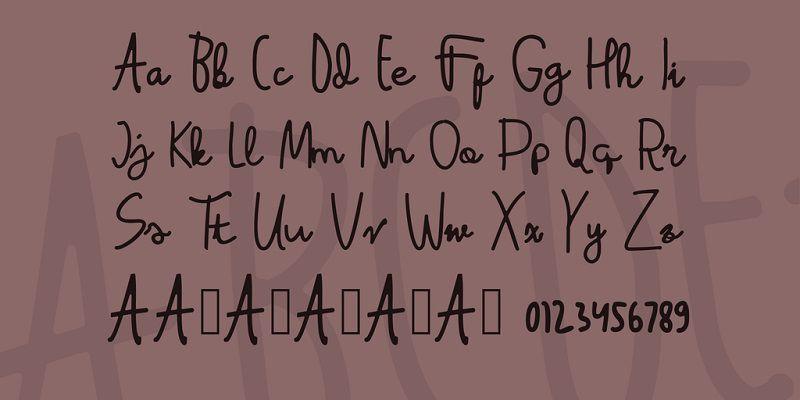 Latina Font Family  2