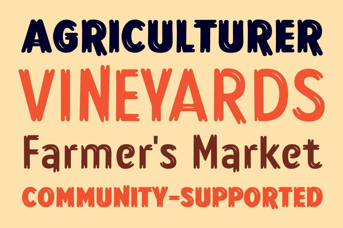 Lonkie Brush Font Family 11