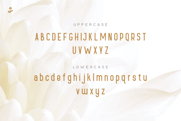 Lueue Sans Serif Font 4