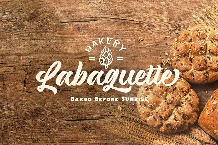 Magnison Script Font  22