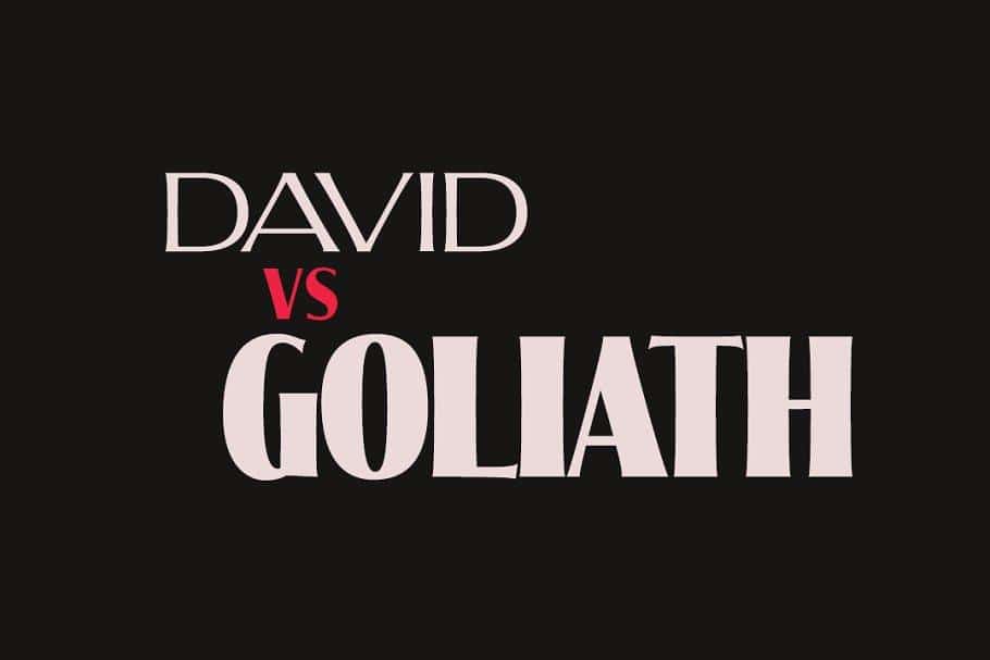 Molly Serif Font Family 1