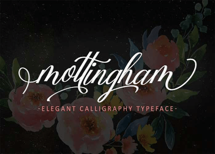 Mottingham-Elegant-Font--0