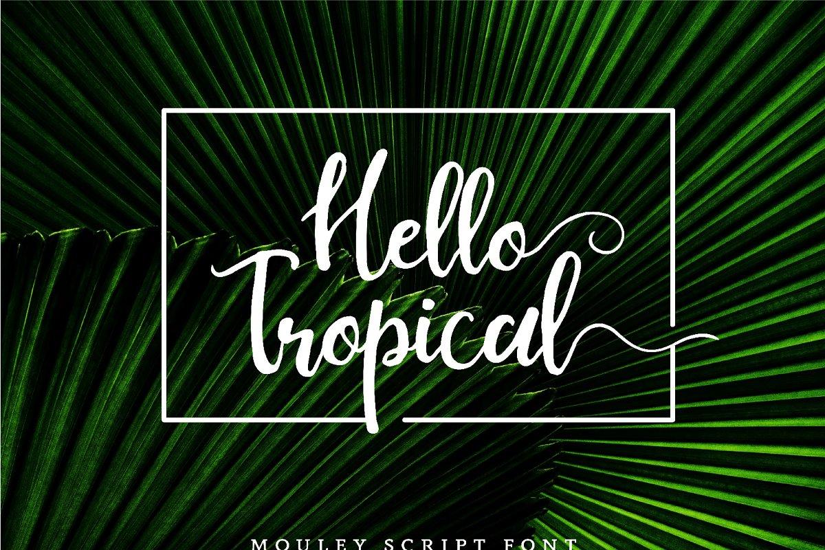 Mouley Script Font Free Download  2 (1)