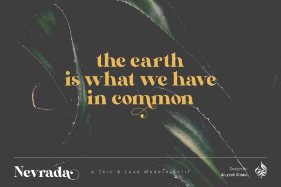 Nevrada Serif Font 7
