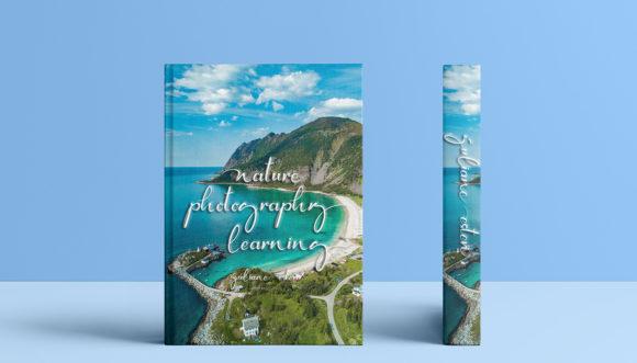 Newyorka Night Script Font 6