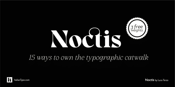 Noctis Serif Font 1