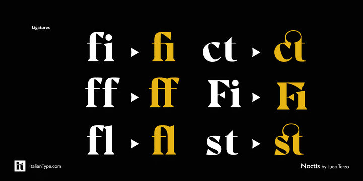 Noctis Serif Font 10