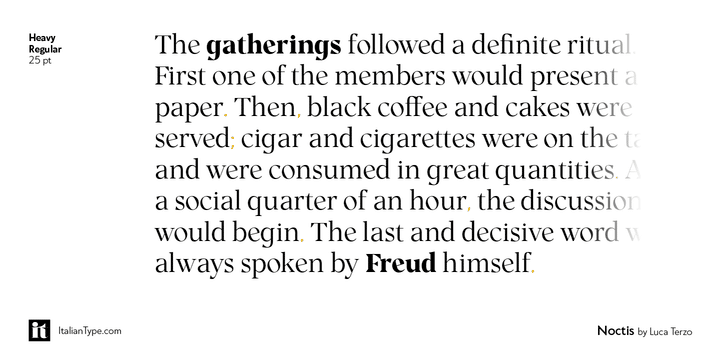 Noctis Serif Font 13