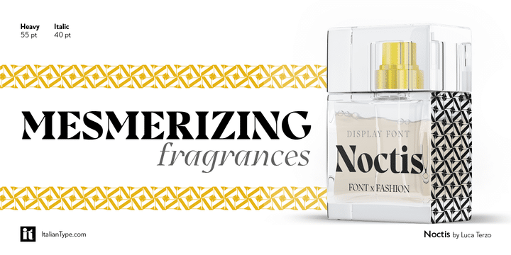 Noctis Serif Font 14