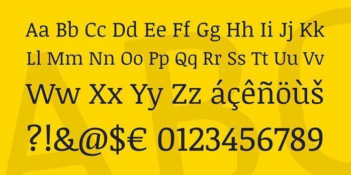 Noticia Text Slab Serif Font Family 1