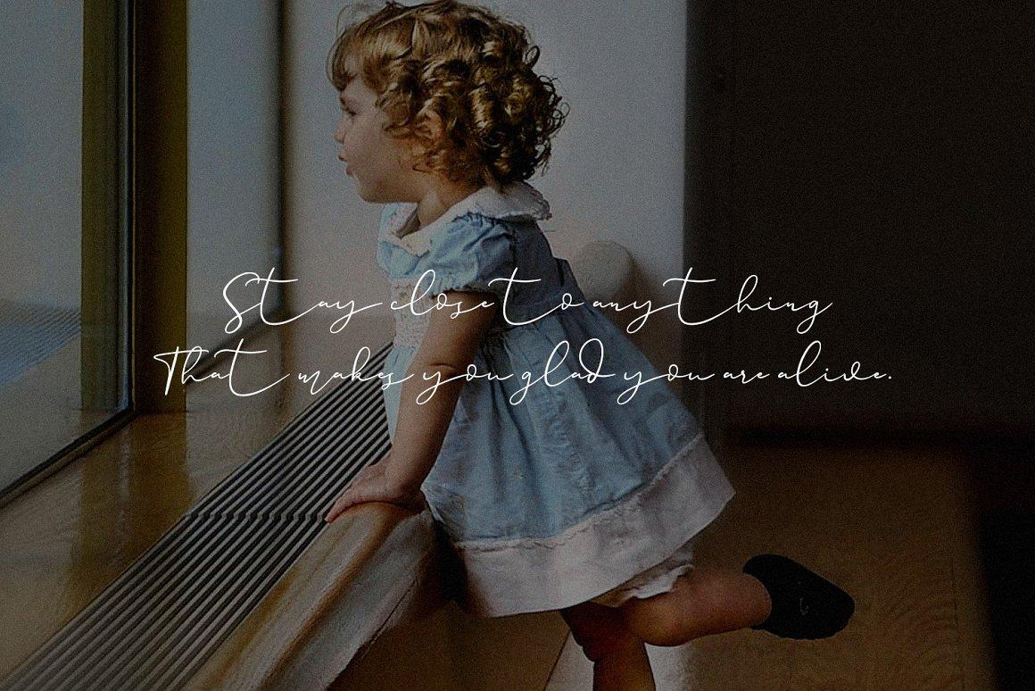 Paulina Elegance Script Font 8