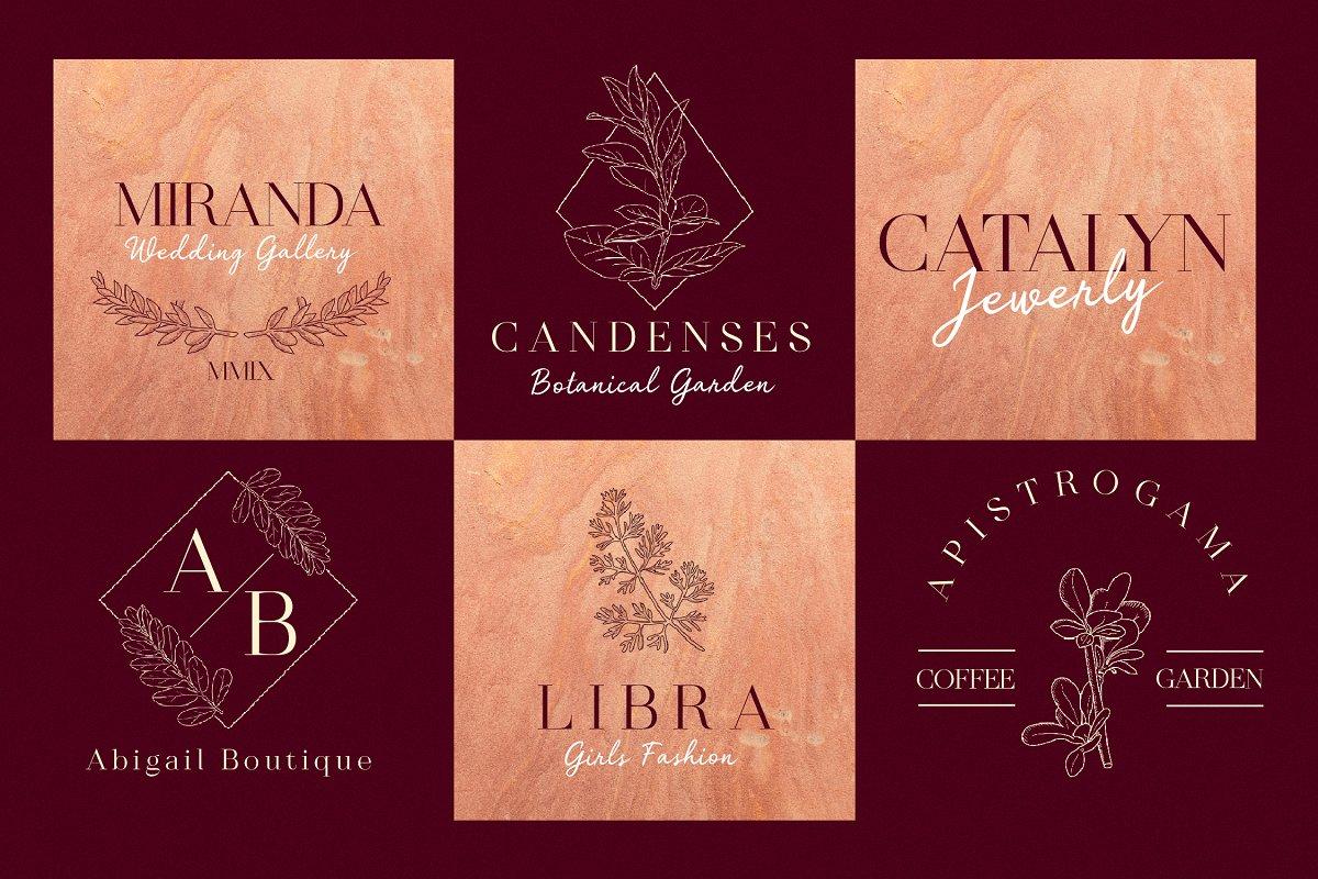 Qwenzy Elegant Serif Font 1