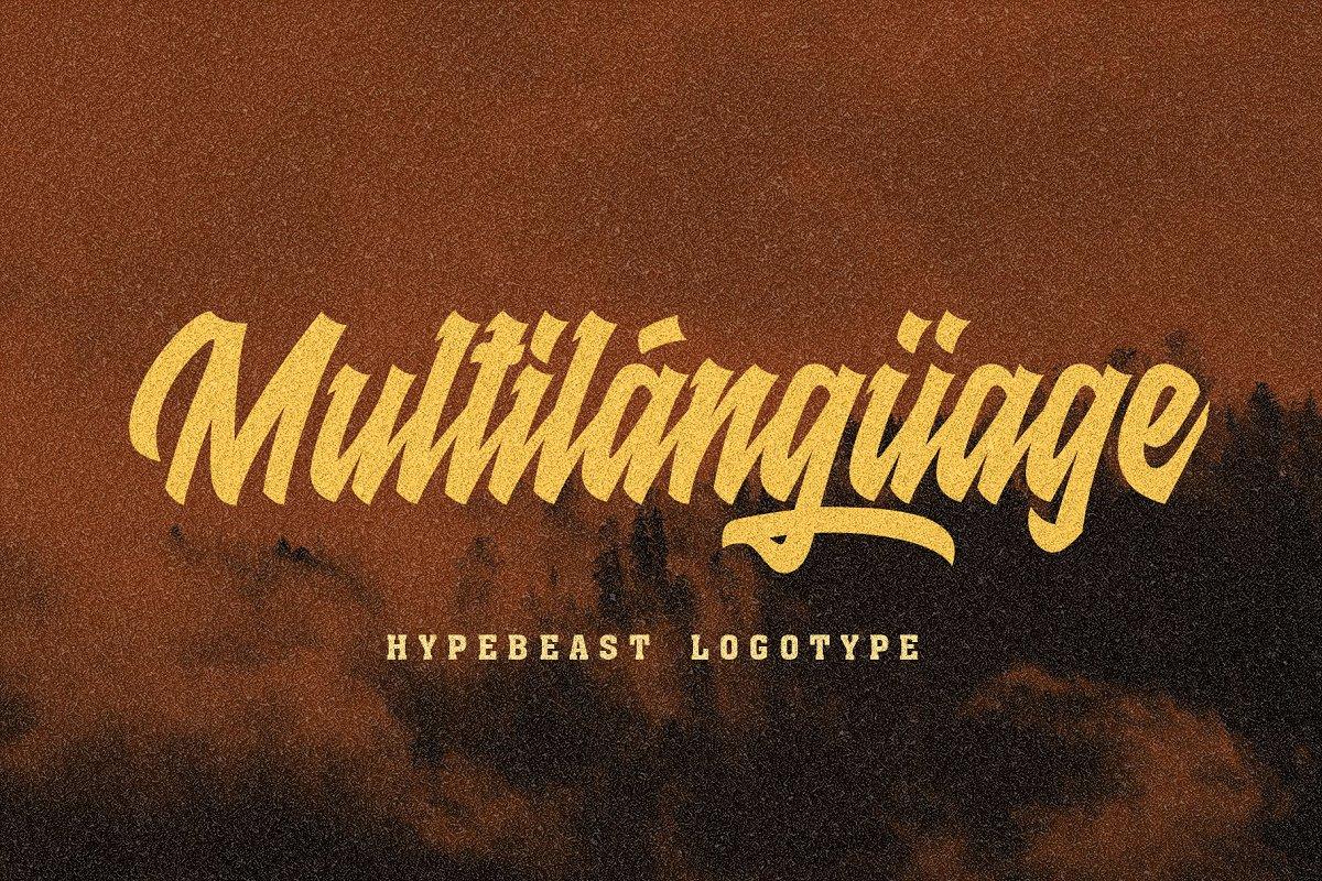 Raydric Script Font 5