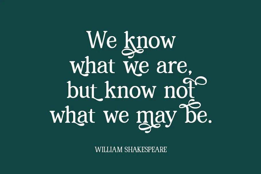 Renda Bold Modern Serif Font 5