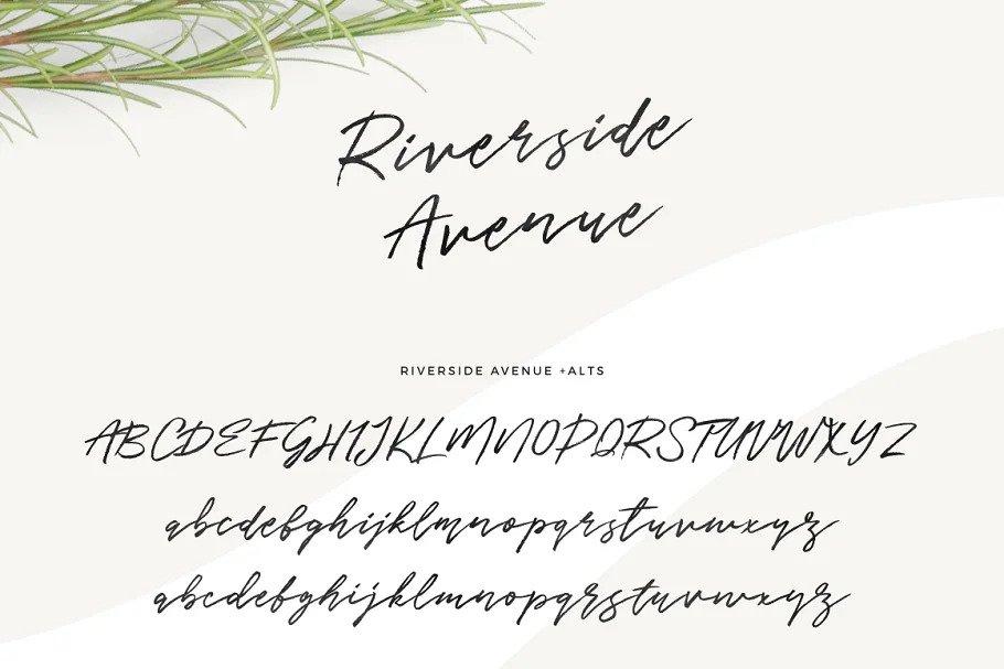 Riverside Avenue Script Font Free 7