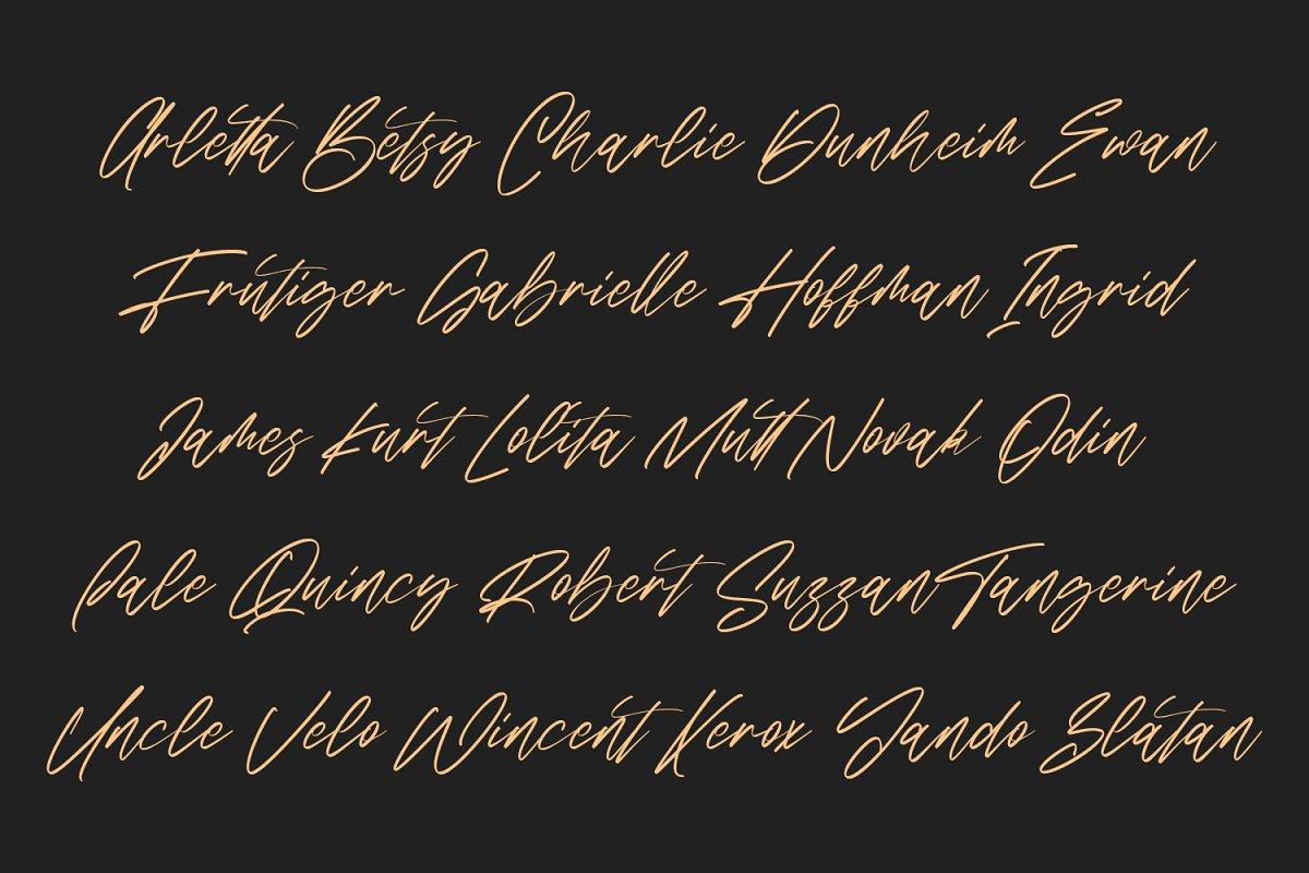 Sabrionte Script Font 5