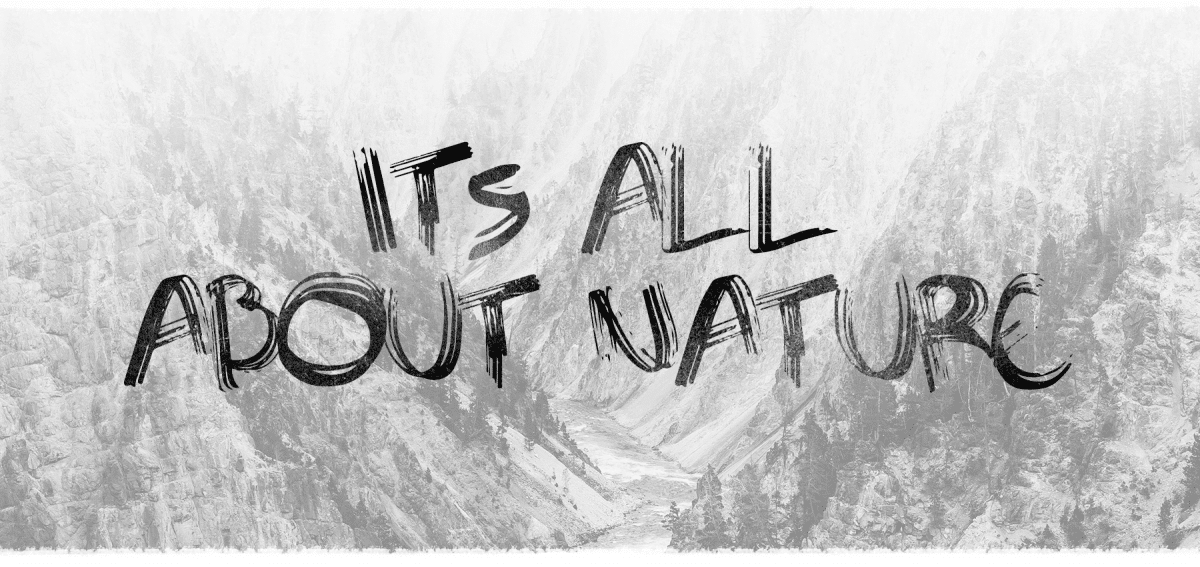 Sawage Brush Font Free 1