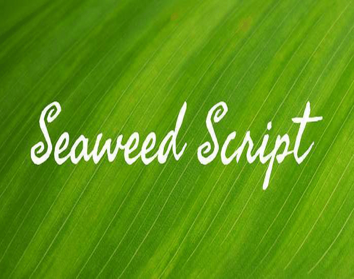 Seaweed-Script-Font--0