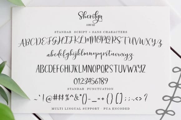 Sherilyn Script Font 4